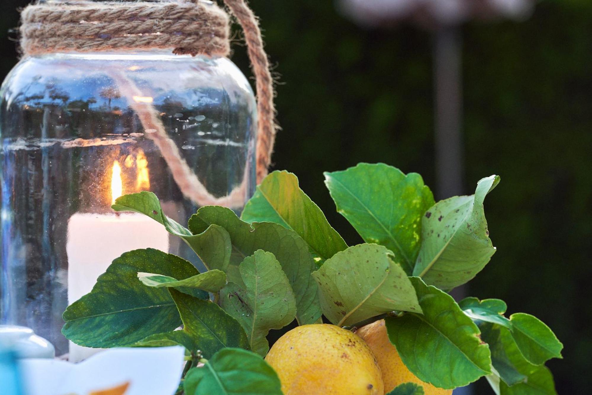 Hotel Son Moli Country House Palma de Mallorca Bagian luar foto